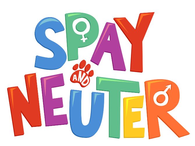 Spray Neuter