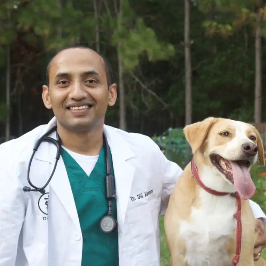 Veterinary Doctor
